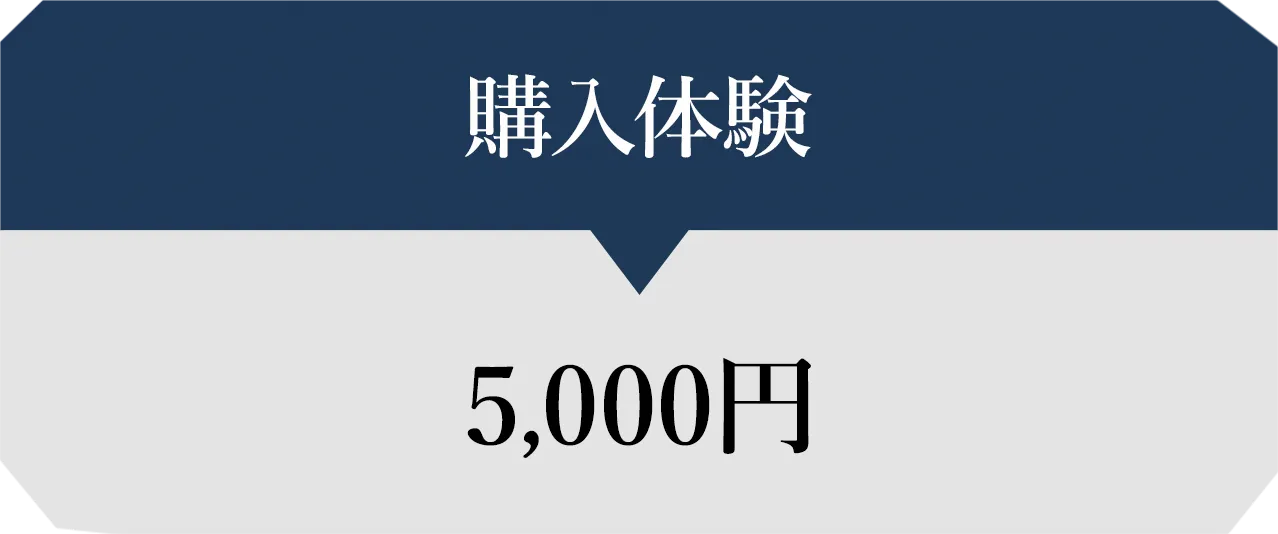 購入体験の価格表